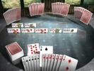 5 in 1 - Kartenspielbox    Screenshot 3