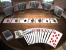 Kartenspiele 23 in 1 - Deluxe Box Edition  Screenshot 2